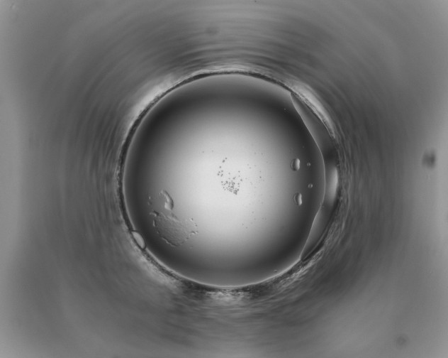 X0000091080805200708061336