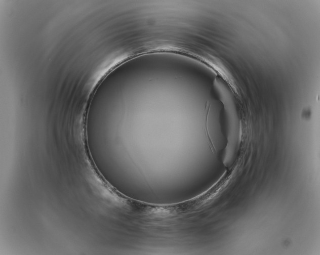 X0000091080806200708061336