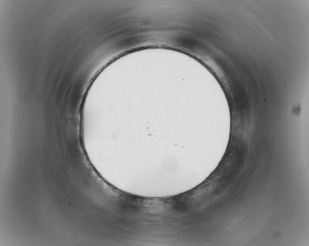 X0000091080807200708061336