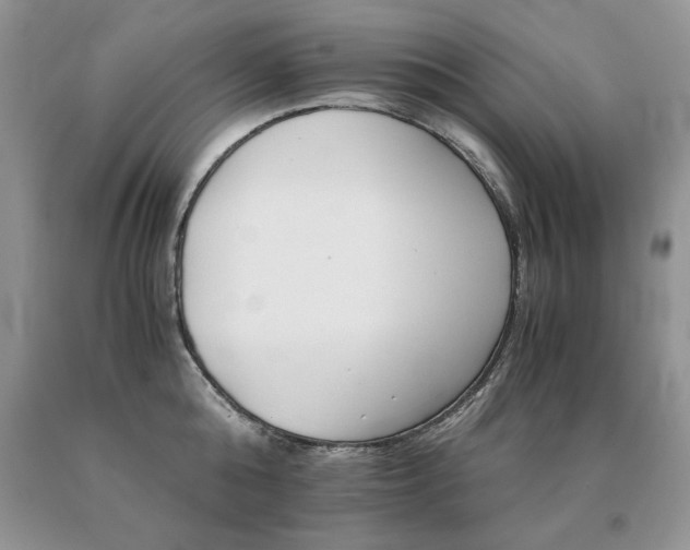 X0000091080808200708061336