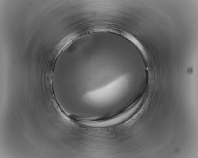 X0000091080809200708061336