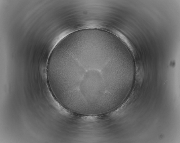 X0000091080810200708061336