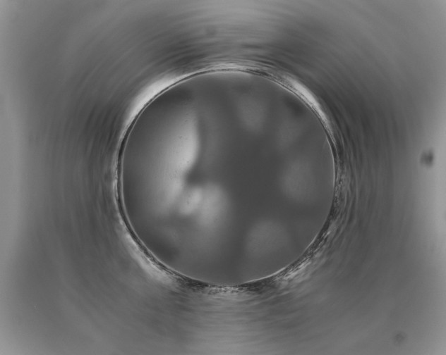 X0000091080811200708061336