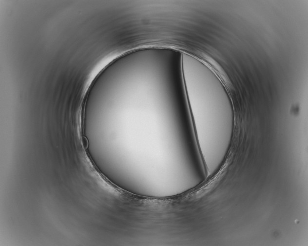 X0000091080812200708061336