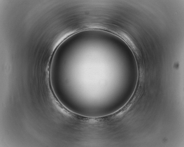 X0000091080814200708061336