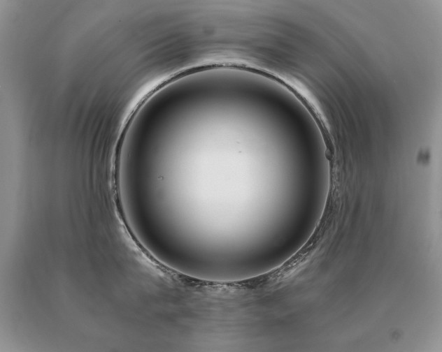 X0000091080815200708061336