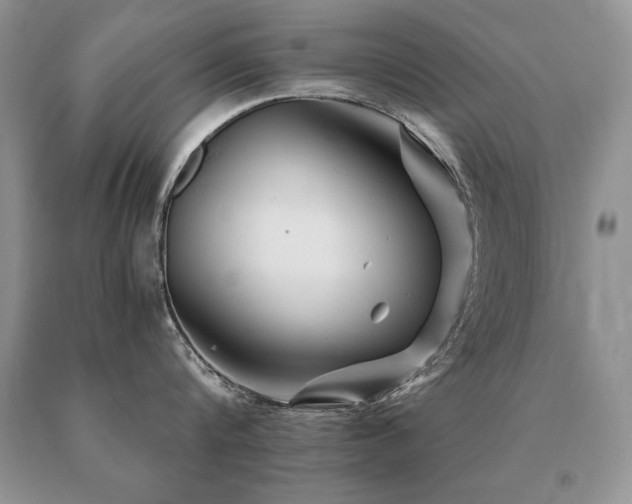 X0000091080816200708061336