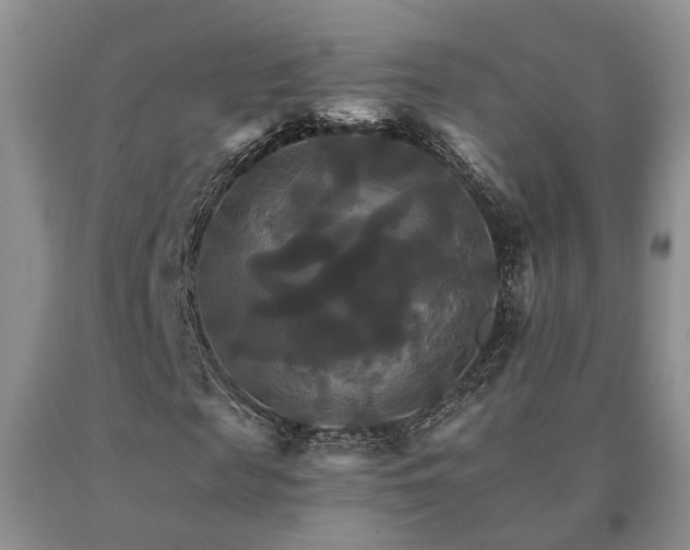 X0000091080817200708061335