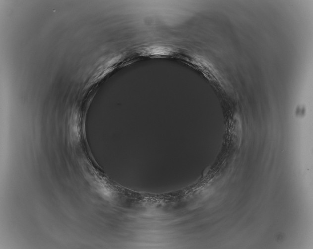 X0000091080818200708061335