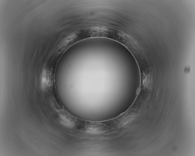 X0000091080819200708061335