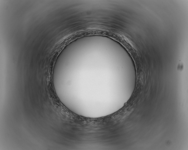 X0000091080821200708061335