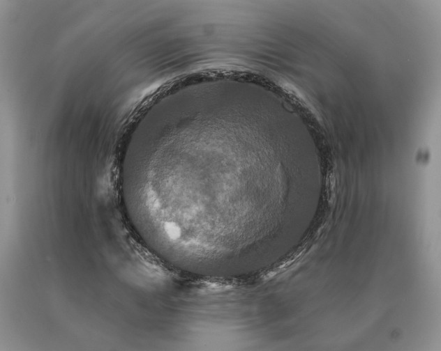 X0000091080822200708061335