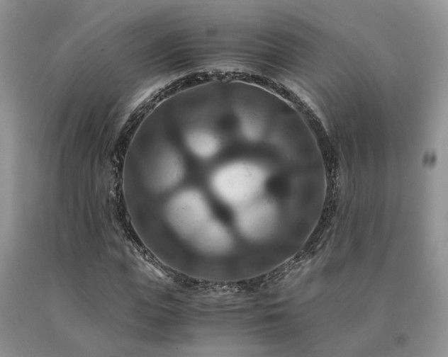 X0000091080823200708061335