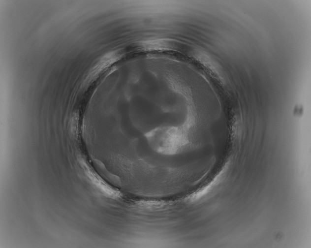 X0000091080825200708061335