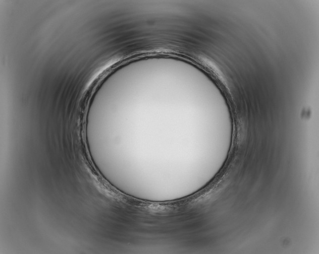 X0000091080827200708061335