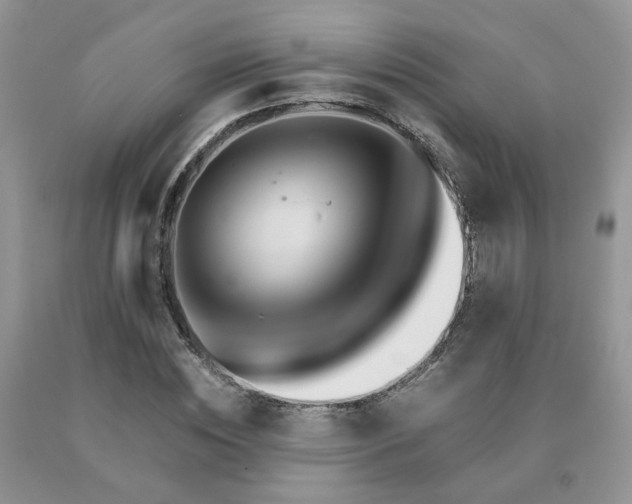 X0000091080828200708061335