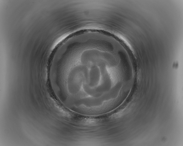 X0000091080829200708061335