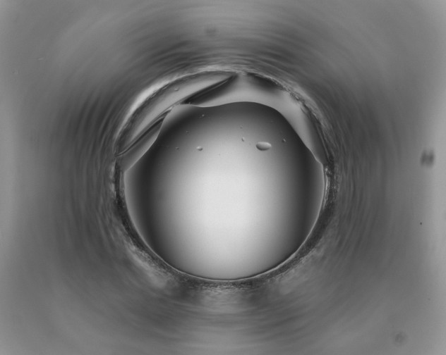 X0000091080830200708061335