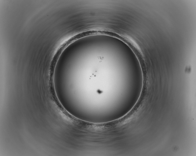 X0000091080831200708061335