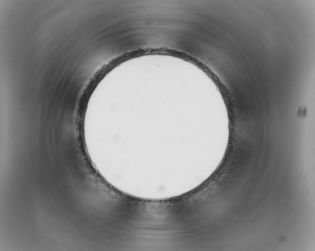 X0000091080832200708061335