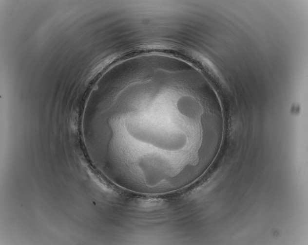 X0000091080833200708061335