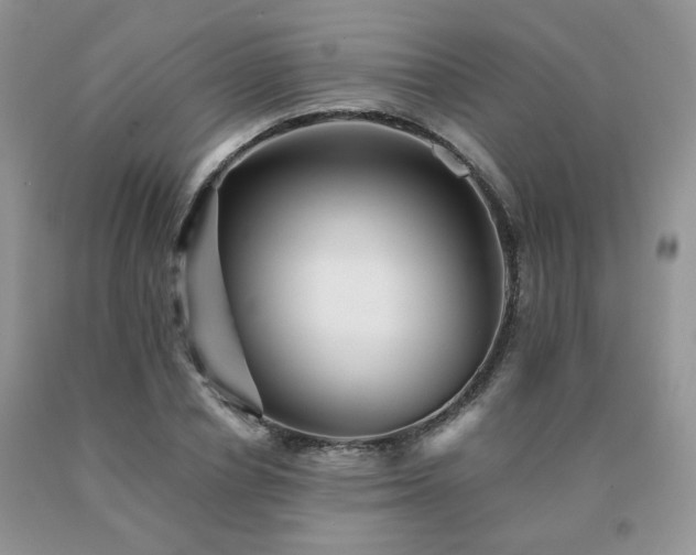 X0000091080834200708061335