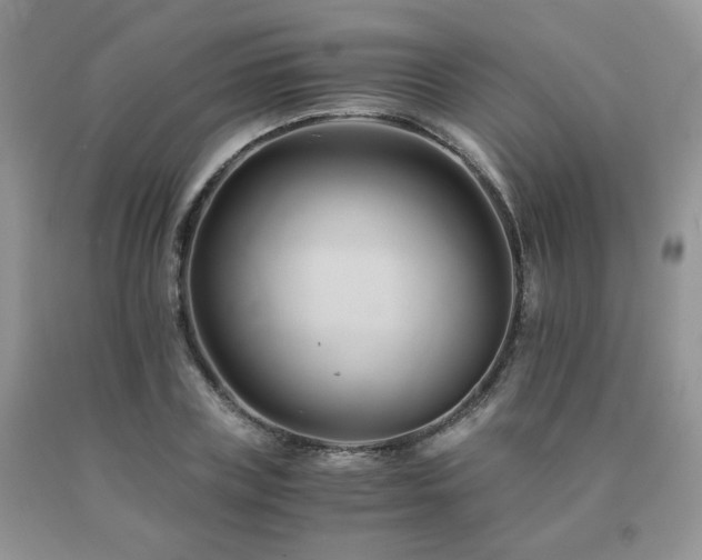 X0000091080835200708061335