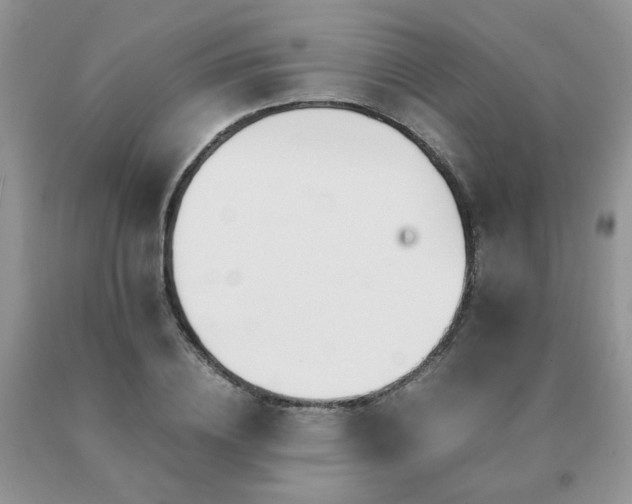 X0000091080836200708061335