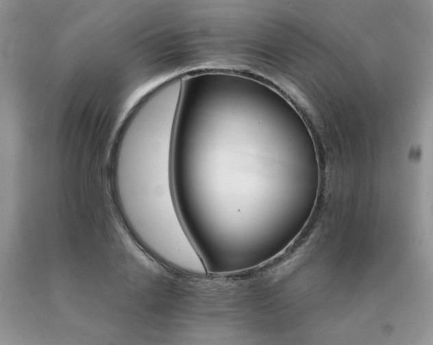 X0000091080838200708061335