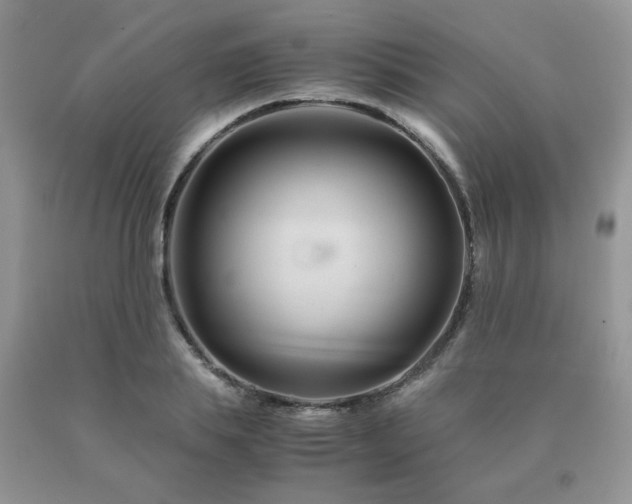 X0000091080839200708061335