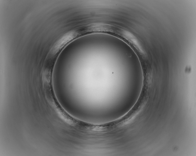 X0000091080841200708061335