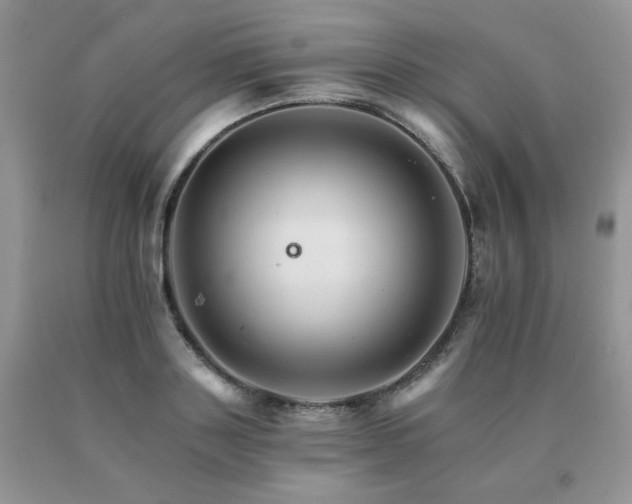 X0000091080843200708061335