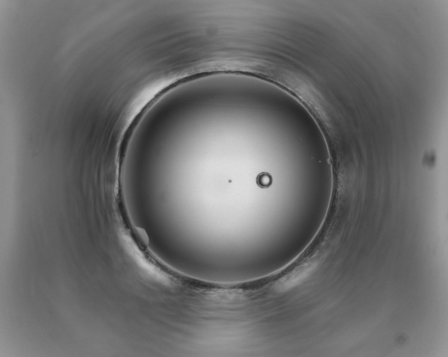 X0000091080844200708061335