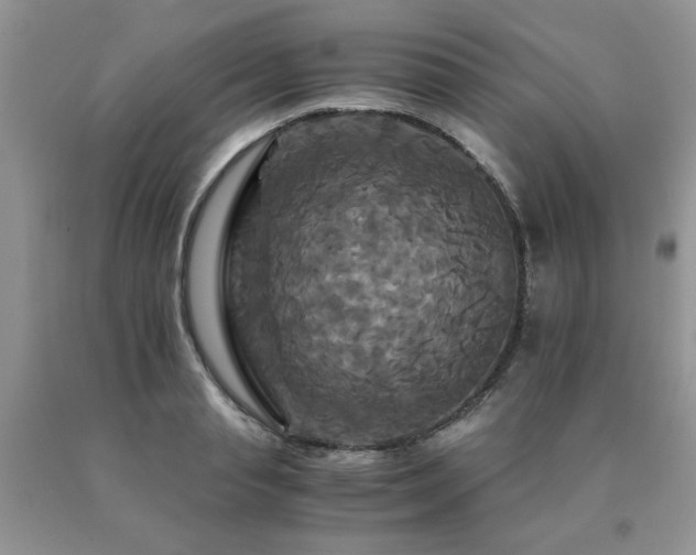 X0000091080845200708061335