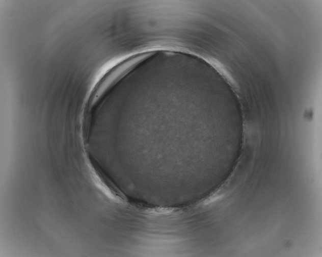 X0000091080846200708061335