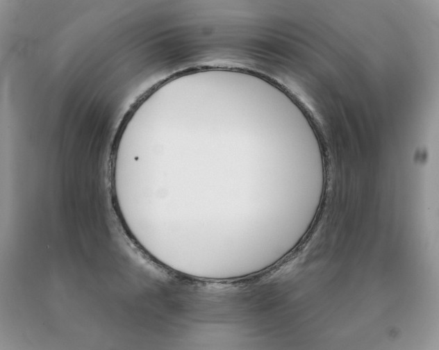 X0000091080848200708061335