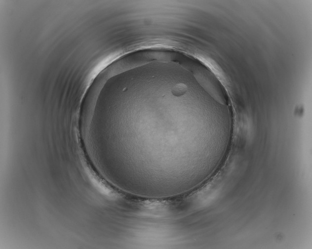 X0000091080850200708061335