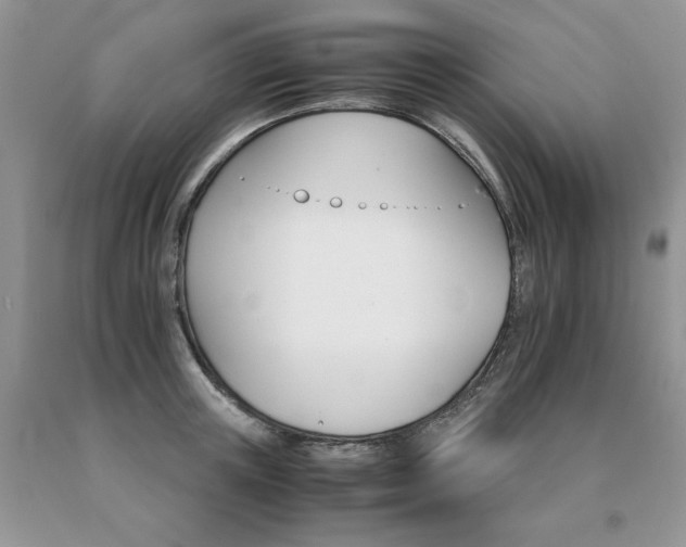 X0000091080851200708061335