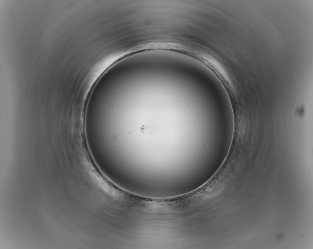 X0000091080852200708061335