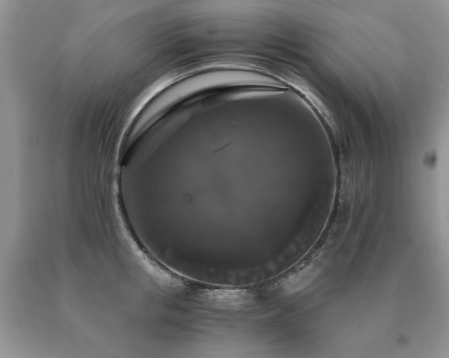 X0000091080853200708061335