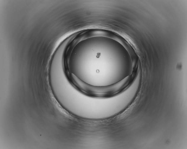 X0000091080854200708061335