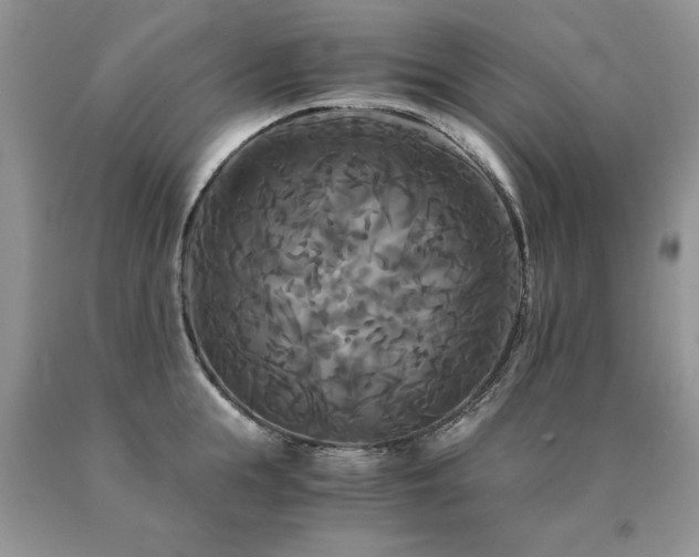 X0000091080855200708061335