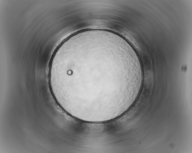 X0000091080856200708061335