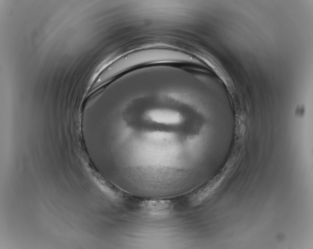 X0000091080858200708061335