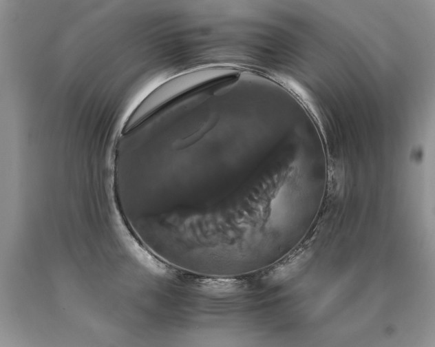 X0000091080859200708061335