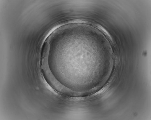 X0000091080860200708061335