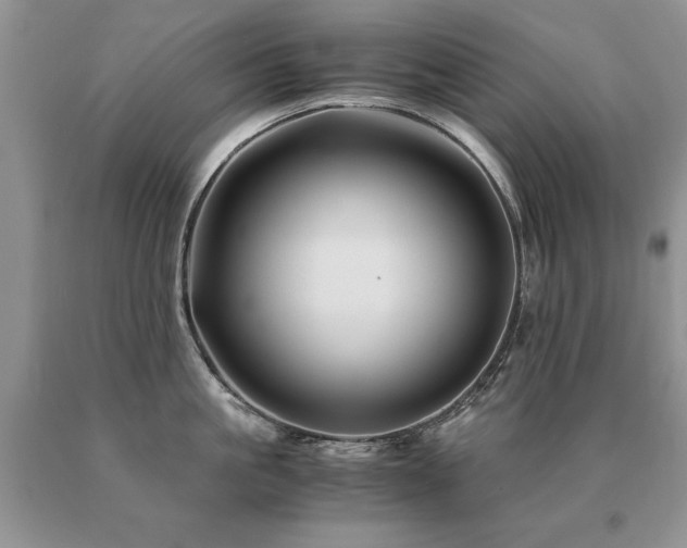 X0000091080861200708061335