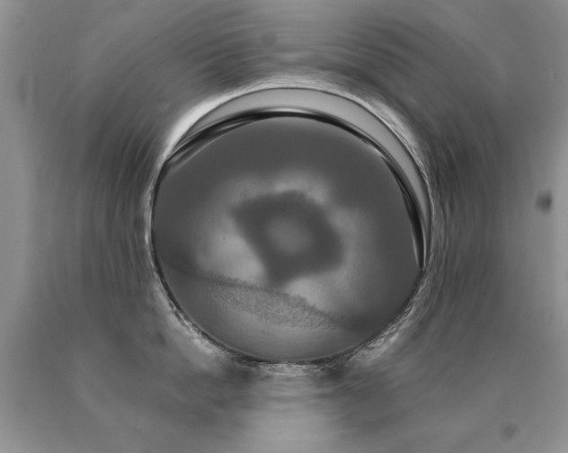 X0000091080862200708061336