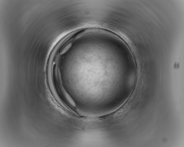 X0000091080864200708061336