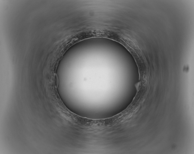 X0000091080865200708061335